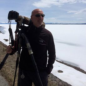 Aland De Wit profielfoto