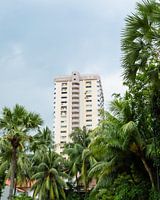 Palmen und Architektur in Singapur | Reisefotografie