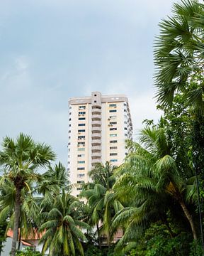 Palmbomen en architectuur in Singapore | reisfotografie