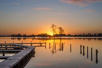 Zonsopkomst bij Reeuwijkse plassen