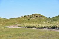 Overwoekerde duinen