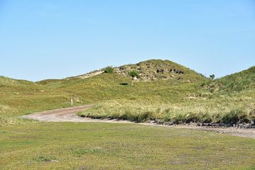 Overwoekerde duinen van Philipp Klassen