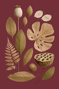 Botanisches Stillleben Gold auf Merlot