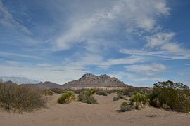 Hot Well Dunes, Arizona by Bernard van Zwol