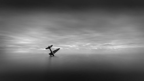 Vleugels van Vrijheid van Sérgio Domingues Photography