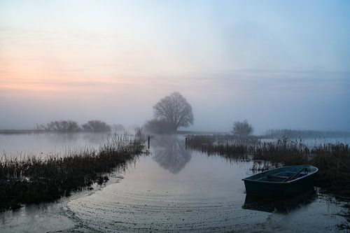 Auenland an der Elbe