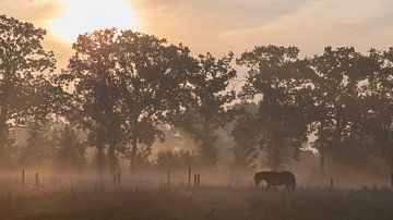 Märchenhafter Sonnenaufgang von Willemke de Bruin