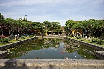 Lotus pond in Hoi An by Frank Photos