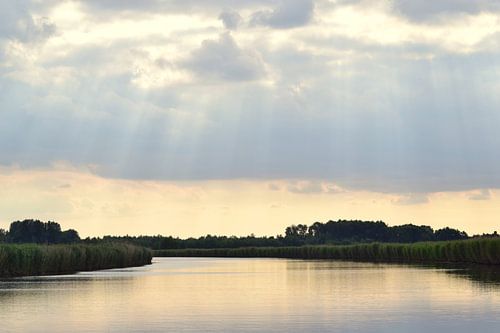 Waterlandschap in Brabant, Nederland