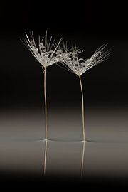 Chic and elegant: Together in the void by Marjolijn van den Berg