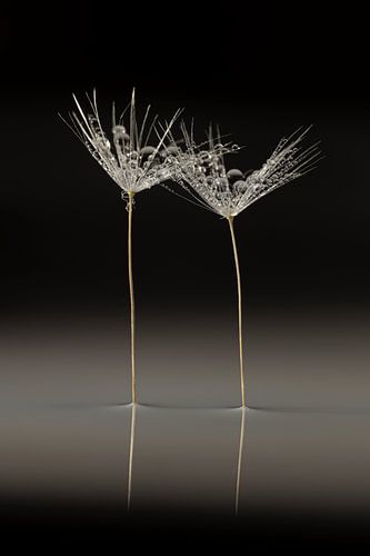 Chic and elegant: Together in the void by Marjolijn van den Berg