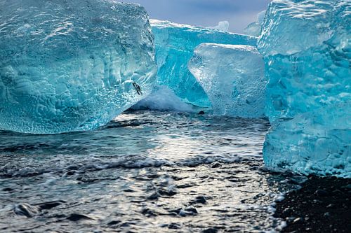 Landschap IJsland, Jökulsárlón en Diamant Beach