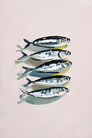 Pile de poissons argentés sur Bob Cintron