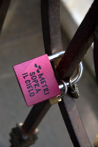 Fietsenslot par Ronald Wilfred Jansen