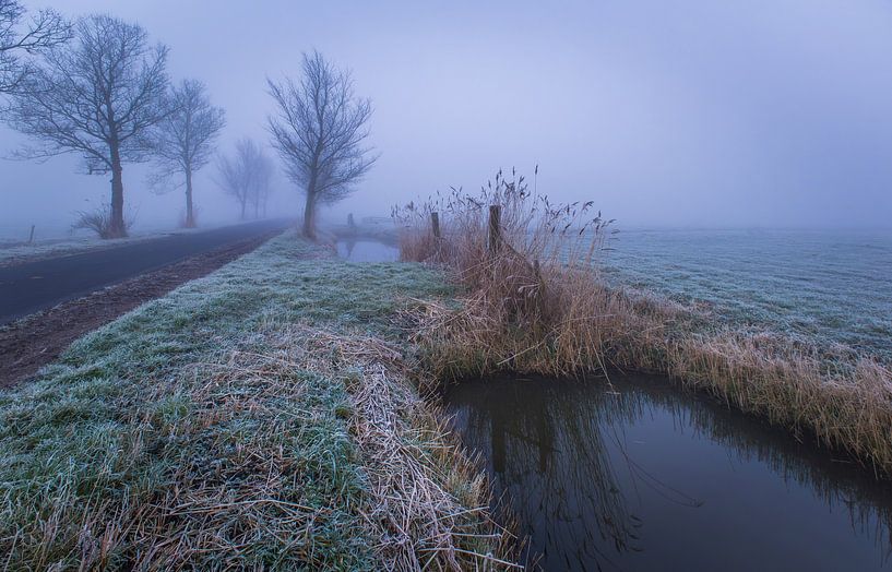 Der Groeneweg zwischen HHwaard und Oterleek im Nebel 2 von peterheinspictures