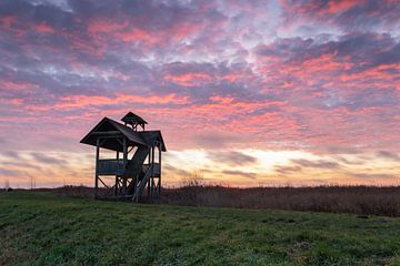 Watch Tower Zuidlaardermeer by Eddy Reynecke