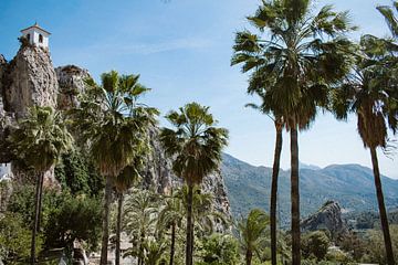 Blick auf die Palmen von El Castell de Guadalest
