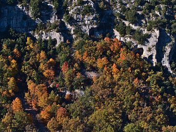 De kleurrijke hellingen van de Gorges du Verdon van Timon Schneider