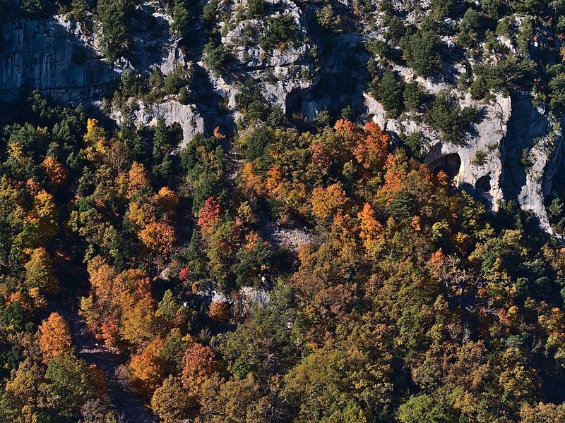 Les pentes colorées des gorges du Verdon par Timon Schneider