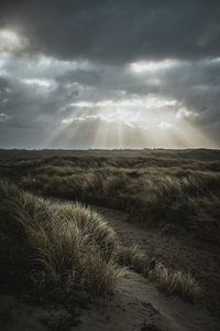 Dünen zwischen Katwijk und Wassenaar mit bedrohlichem Himmel