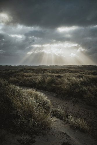 Duinen tussen Katwijk en Wassenaar met dreigende lucht