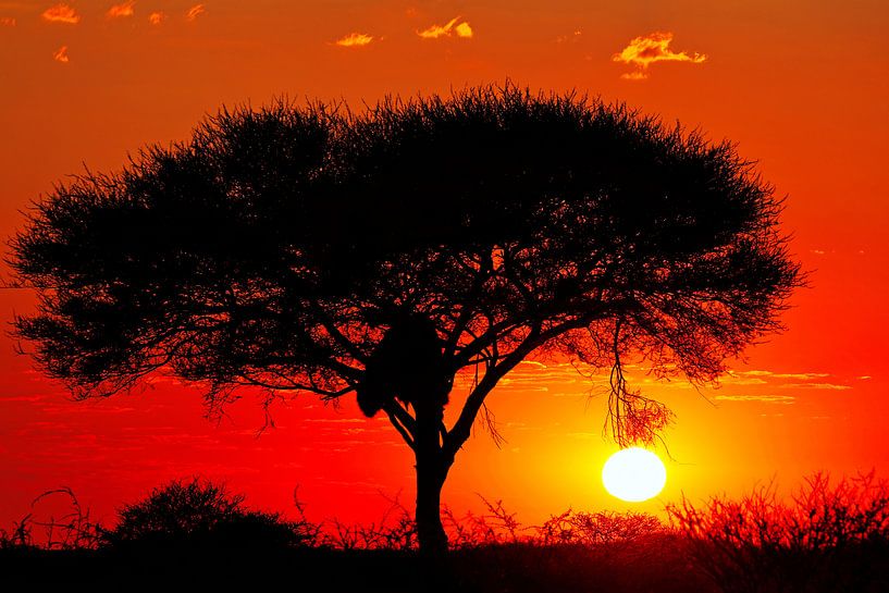 De dag begint in Namibië van W. Woyke