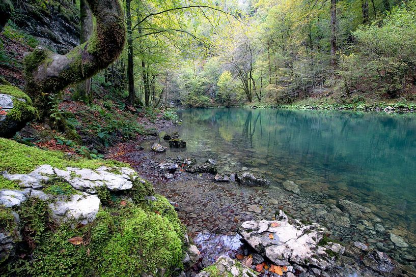 The source by René Pronk