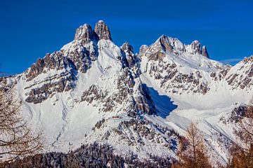 Die große und kleine Bischofsmütze