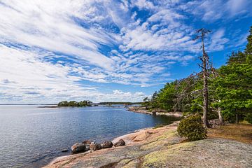Ostseeküste mit Felsen und Bäumen bei Oskashamn in Schweden von Rico Ködder