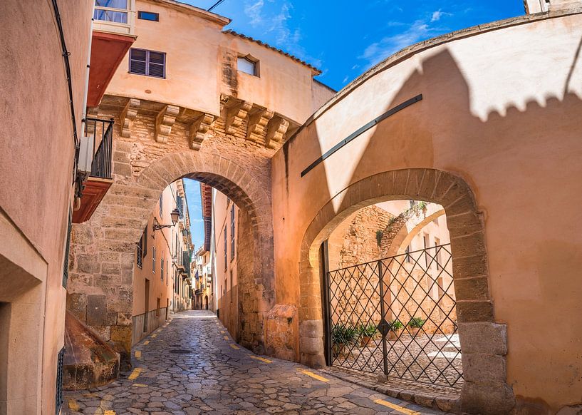 Palma de Majorque, vue panoramique d'une rue de la vieille ville de Palma, Espagne par Alex Winter