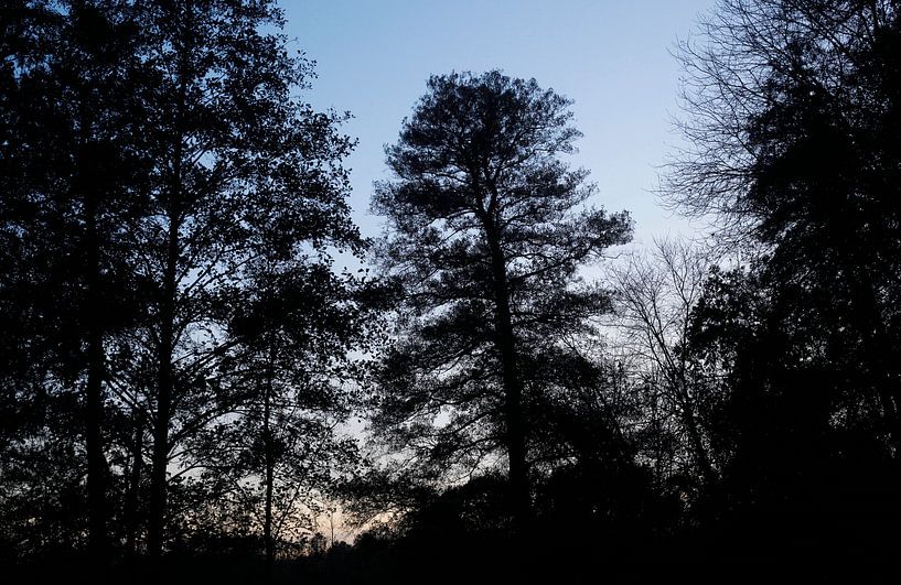 Spreewald von Thomas Jäger