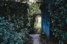 Garden in Portugal by Esther Gerritsen