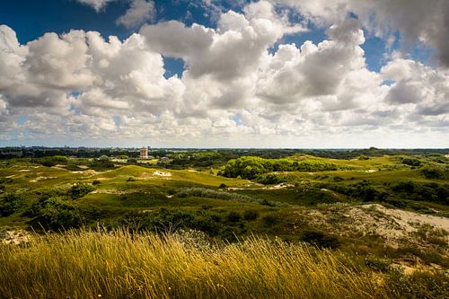 Uitzicht op de Watertoren van Katwijk