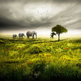 Paysage - Elephant Trio sur Nicole Holz