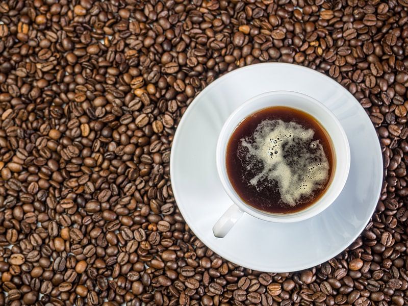 Kaffeetasse auf frischen Kaffeebohnen von Animaflora PicsStock
