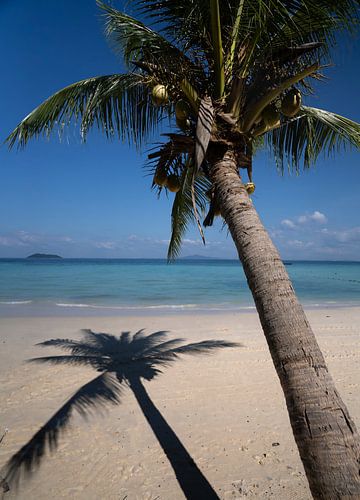 tropische Insel von Rene scheuneman