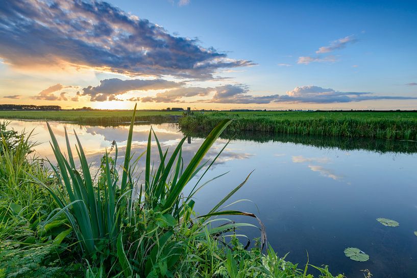 Sonnenuntergang im Sommer in einer ländlichen Landschaft mit Wasser  von Sjoerd van der Wal Fotografie