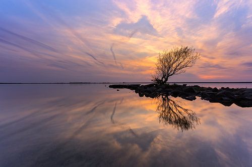 reflection with nature