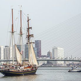 Trois maîtres devant le pont Erasmus et la ligne d'horizon de Rotterdam sur Harrie Muis