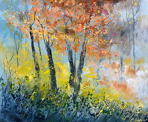 Herbstliches Licht