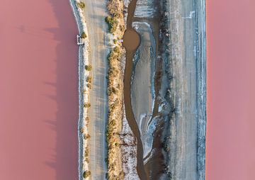 Luchtfoto van roze landschap, topdown perspectief