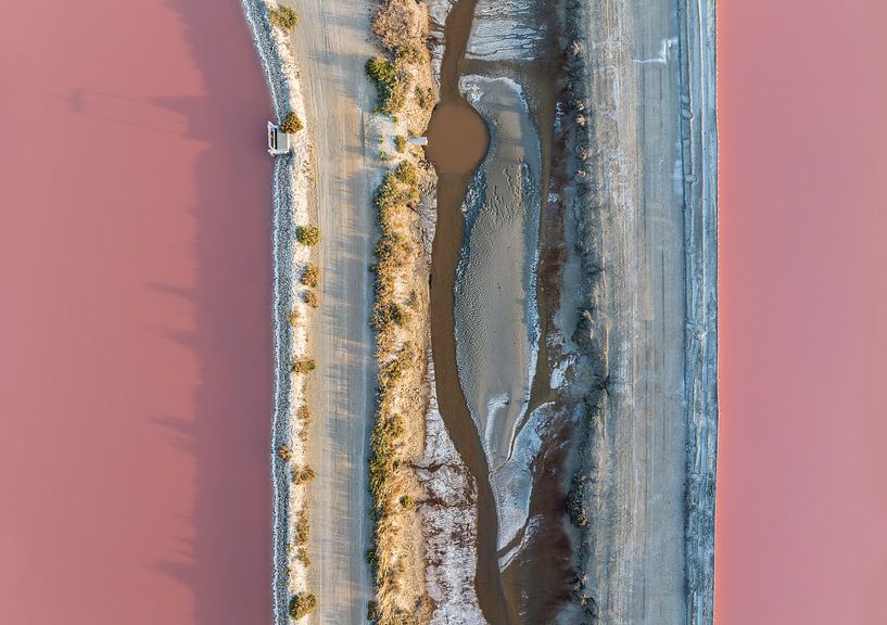 Luchtfoto van roze landschap, topdown perspectief van Sia Windig
