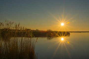 Slikken noord beveland van Teus Reijmerink