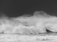 Wild sea