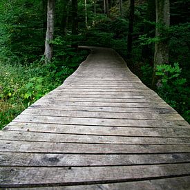 Vlonderpad in het Müllertal von Monique Pulles