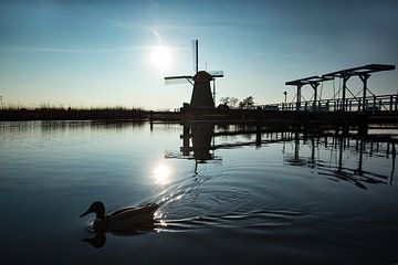 Windmolens in Kinderdijk tijdens zonsondergang van Jeroen Stel