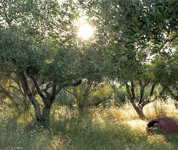 Samos part 16 by Tania Perneel
