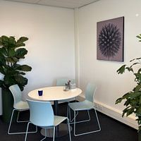 Photo de nos clients: Boule ronde Chardon sur fond taupe par Marjolijn van den Berg, sur ArtFrame