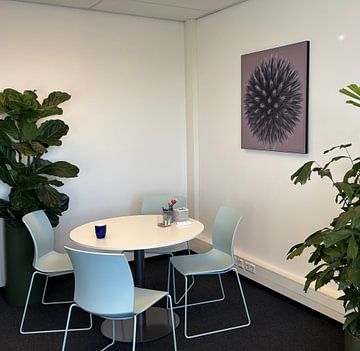 Klantfoto: Ronde Kogeldistel met taupe kleurige achtergrond van Marjolijn van den Berg