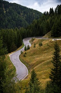 Kurvenreiche Straße in den Bergen von Wim Slootweg